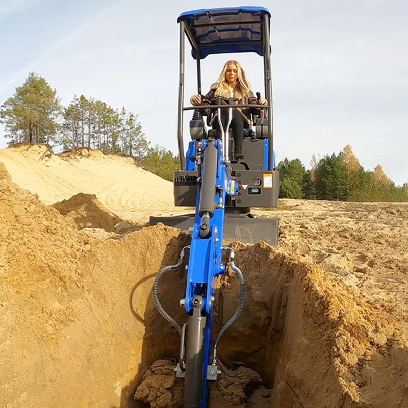 حفارة صغيرة متعددة الوظائف 1 طن 1.2 طن 2 طن نماذج متعددة متاحة حفارة صغيرة مغلقة قابلة للتخصيص