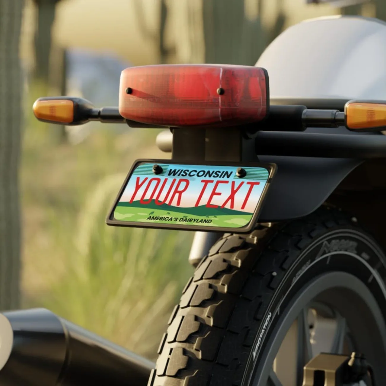 Placa de licença personalizada Wisconsin - Etiqueta de vaidade para carros/caminhão/motocicleta dos EUA.