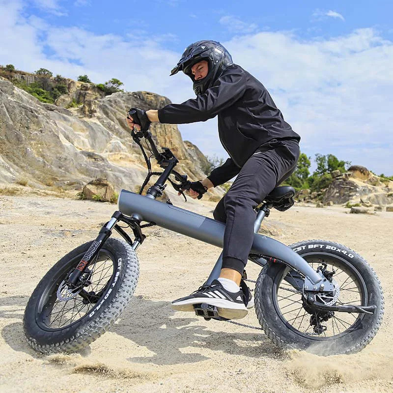 750W Fat Tire Electric Bike 20 Inch 45km/h High Speed E-bike Off-road Mountain City Cargo Bicycle Adults Bicicleta Electrica MTB image 1