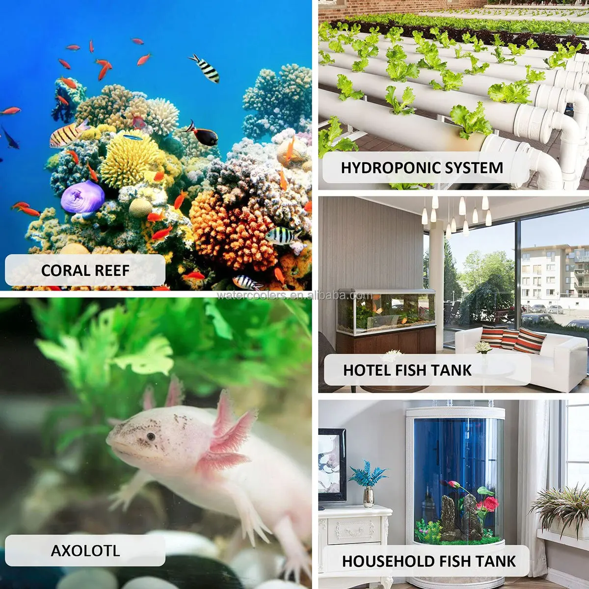 TLF 160L 300L 500L 1000L البحرية خزان المبرد لحوض السمك الشعاب المرجانية المرجان قنديل البحر الروبيان النباتات المائية صندوق آلة تبريد المياه #5