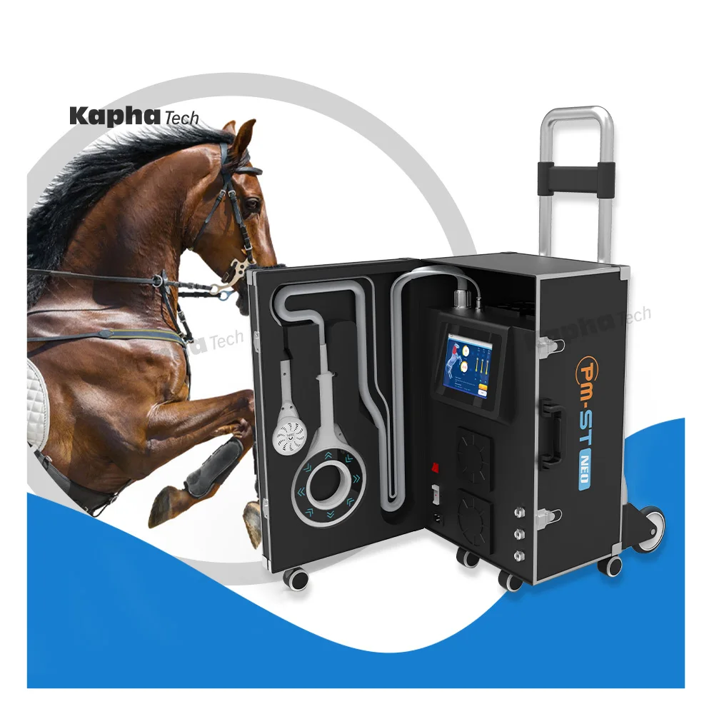 Kapha Pmst Vet Magneto Therapy Plus Infrared Device Physical Rehabilitation Magnetotherapy Equine Medical Specific Equipments