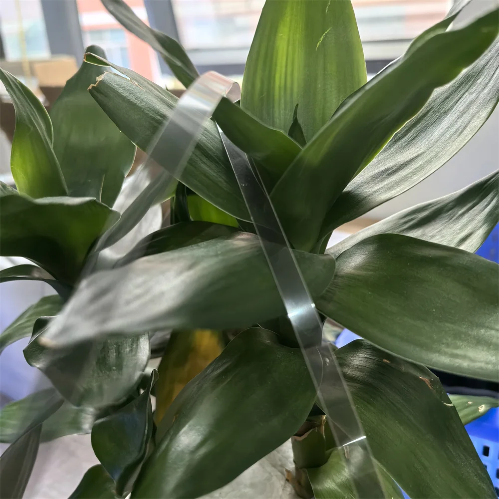 

5PC SCALE CR Encoder Strip 1409999 for EPSON L800 L801 L805 L810 L850 R260 R265 R270 R280 R285 R290 R295 R330 R360 R390 R825 P50