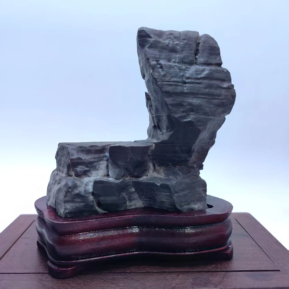 1PC Decoration Home Room Decoration “Pelycosaurus” Natural Precision Mountain Asian Natural Stones Rock Reiki Cadeau Homme