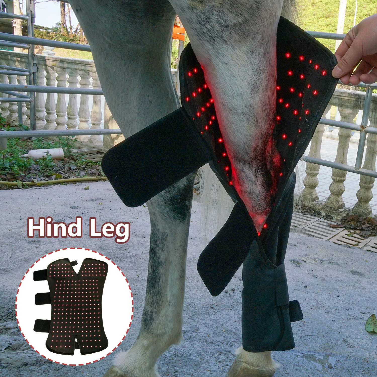 

Профессиональные заводские 660 нм 850 нм аксессуары для лошадей сухожильный рукав для ног оборудование для лошадей сапоги до бедра для гонок