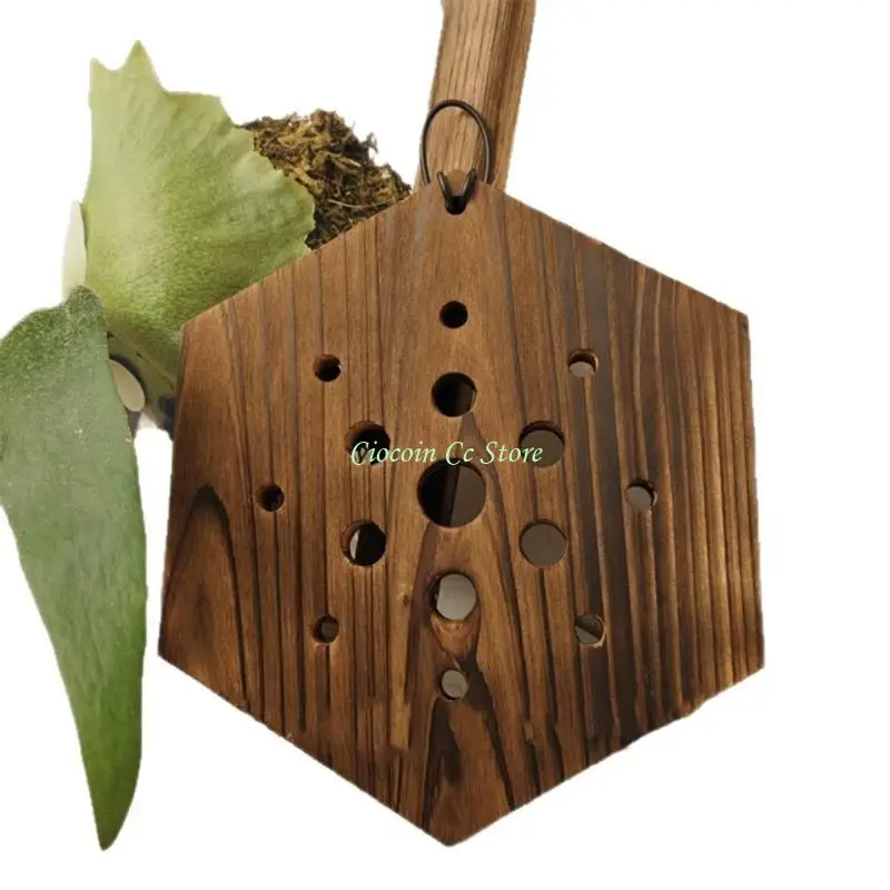 

X90F Современное решение для вертикального садоводства Шестиугольная деревянная панель для папоротников оленьего рога Инструмент