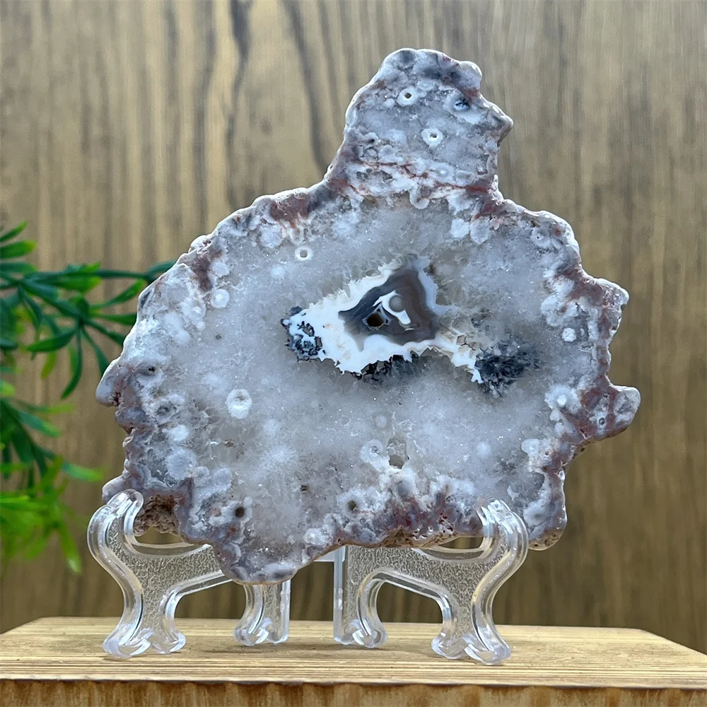 Argentina Black Agate Natural Stone Crystal Quartz Slab Minerals Meditation Wichcraft Wicca Ornaments Home Decoration Room+Stand view 2