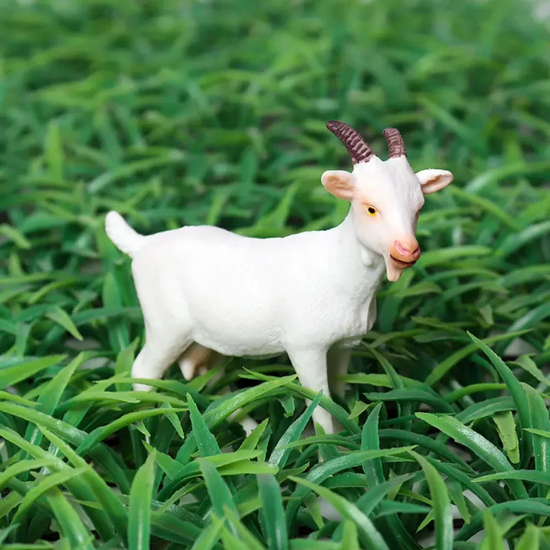 Figuritas de animales realistas, figuras de acción de Rancho simulado, modelos de granja, oveja, Cabra, antílope, juguetes educativos para niños, regalos para niños