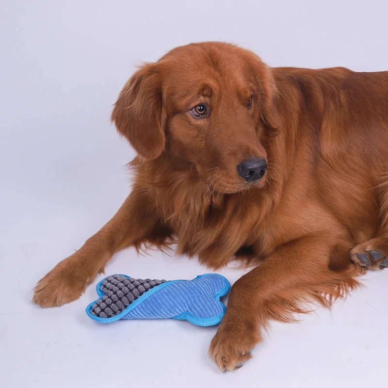 1 Stück Hundespielzeug Quietschendes Plüsch-Knochenspielzeug Interaktives Haustier-Spielzeug mit Samtrand zum Kauen und Spielen
