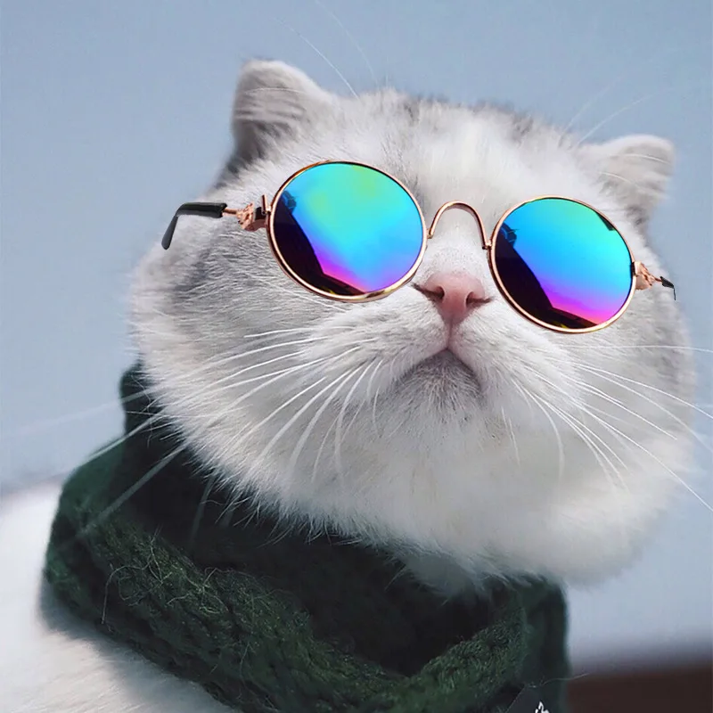 Cross border pet products hot selling cat sunglasses wholesale dog sunglasses photography funny accessories pet glasses