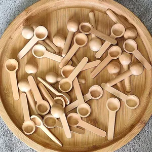 8 최고의 판매 소형 향신료 숟가락 - №4