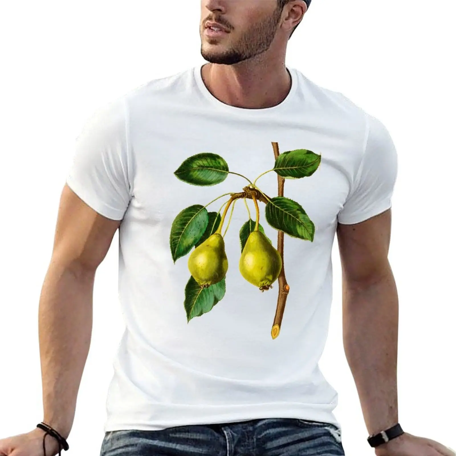 Pear fruit franch botanical illustration T-Shirt cotton tshirt 100% graphic t shirts for man man t shirt luxury T-shirt