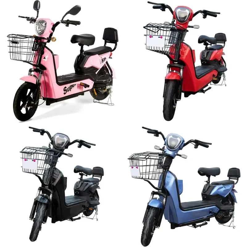 Paige 48V12A 350W E Bike Dirt Bike Outdoor Vehicle Bike From China