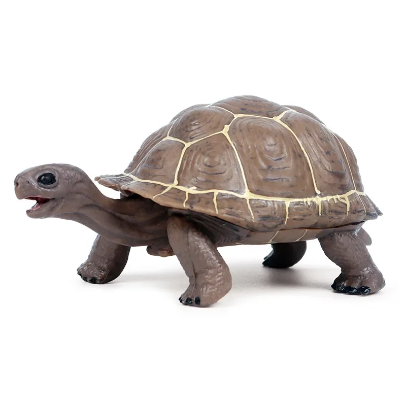 Figurines d'action d'animaux marins pour enfants, tortue à oreilles coulissantes, figurine d'amphibiens, modèle Auckland, roman, jouets en plastique, cadeau d'ornement