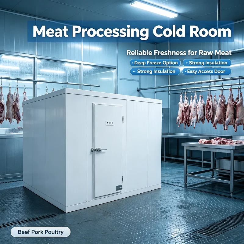 Cold Room Storage Insulated Walkin Cooler Dual Probe Thermostat Removable Steel Shelves for Retail Beverage Cold Showcase