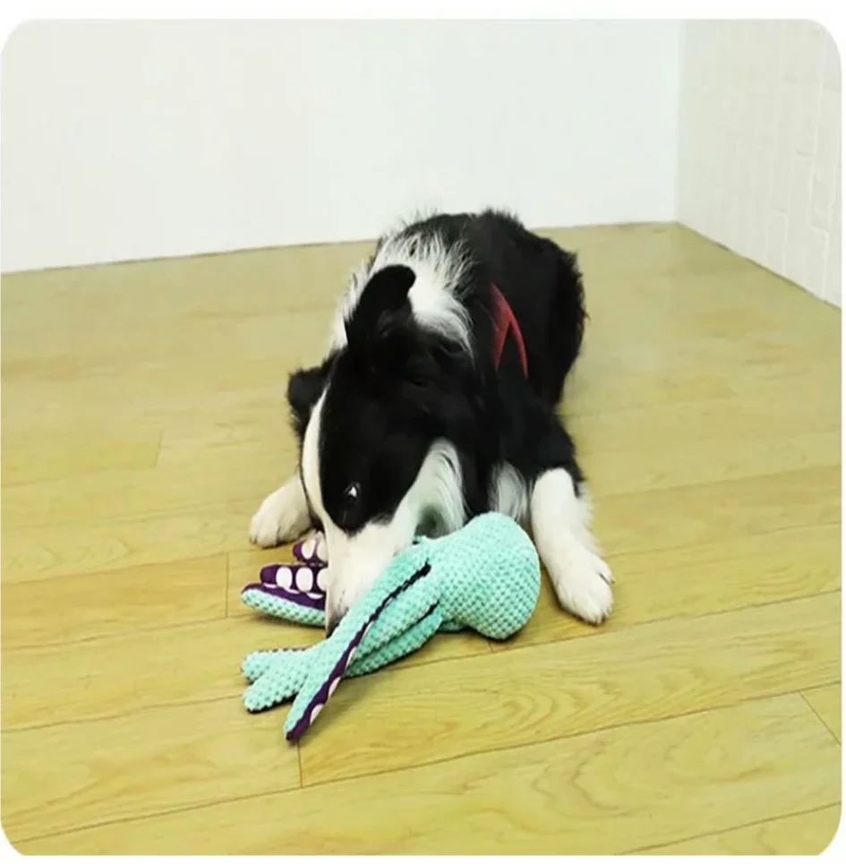 Dog pet plush octopus toy interactive sound anti-demolition home large and small dog boredom companion toy - Image 2