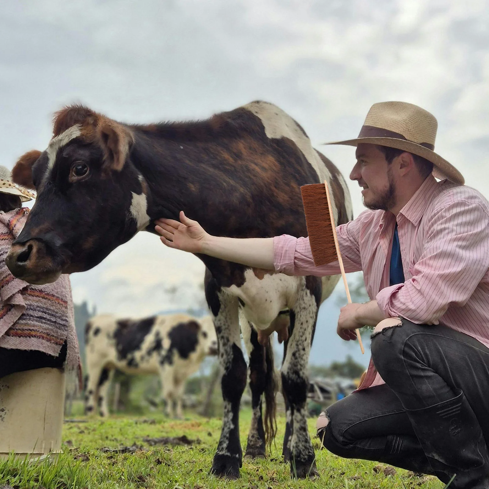 

Horse Grooming Brush Soft Bristle Bamboo Handle Body Legs Face Cleaning Portable Horse Hair Brush For Livestock Care