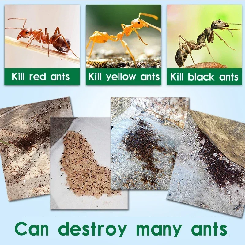 50 قطعة مسحوق طعم النمل القوي أصفر أسود أبيض Termites النمل المخدرات تأثيرات الطب تدمير عش النمل الطعم
