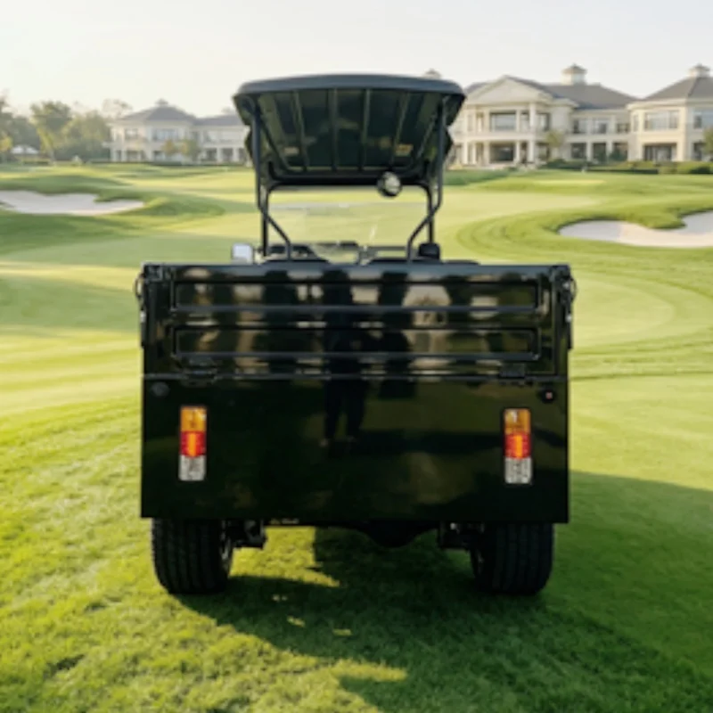 Patrol Utility Vehicles Tool Carts Small Transport Vehicles Cargo Electric Golf Cart With Rear Cargo Box 12-Inch Off-Road Tires