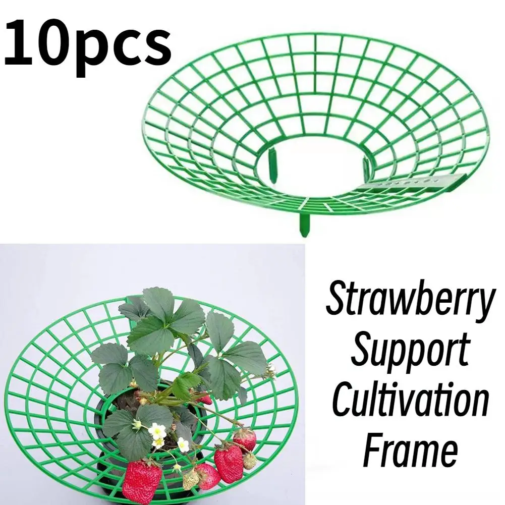 

10 шт., пластиковые поддоны для выращивания ягод