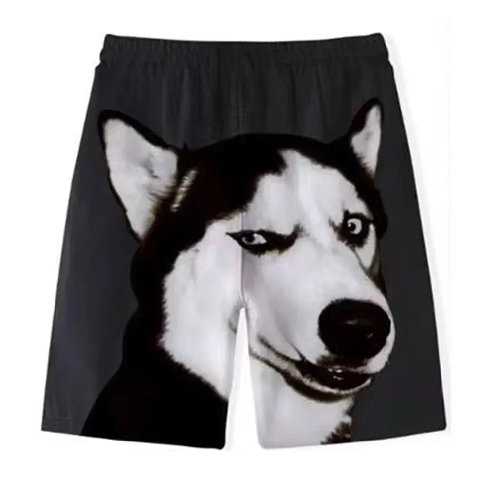 Funny Dog Shorts Casual Walking Home Sleepwear Creative Men Casual Shorts M-5XL