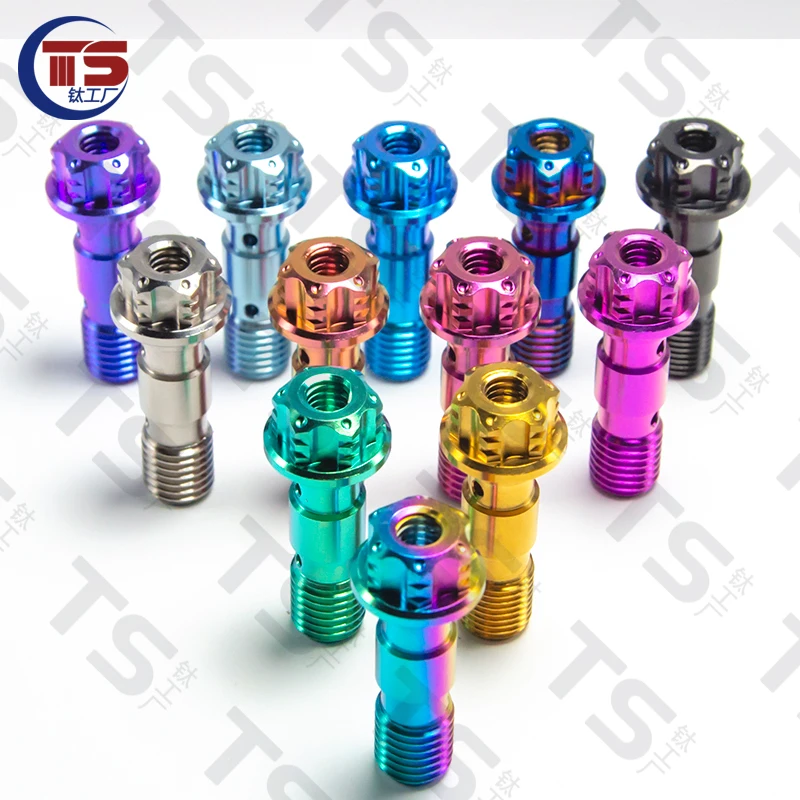 TS 2pcs and 10pcs Titanium Factory Titanium Alloy Caliper Double Layer Tubing Exhaust Screw M10X1.0mm 1.25mm