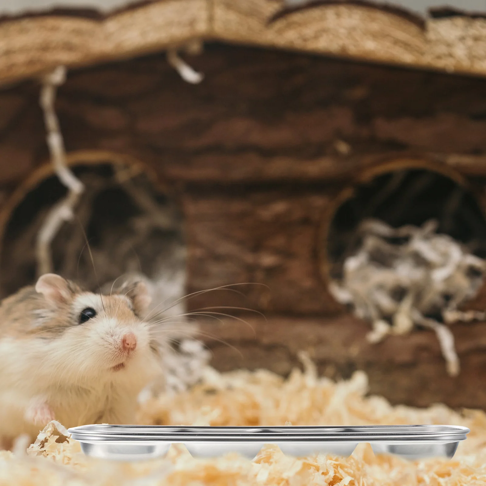 

Food Hamster Household Small Animals Food Feeding Four-Grid Feeding Bowl Pet Feeder Small Animals Container Bowl