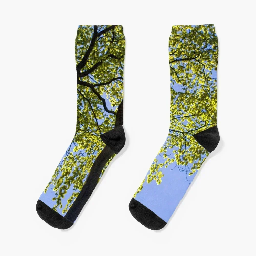 

Spring Green Beech Tree Leaves Socks crazy luxury Socks Ladies Men's