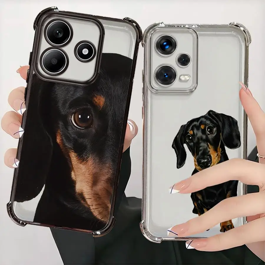 Interesting Dachshu… - image