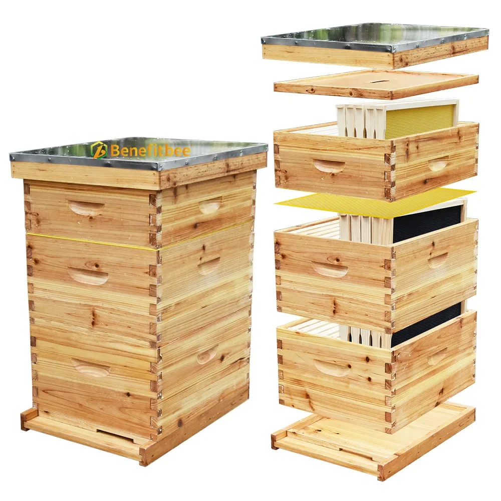 OEM Factory Langstroth Bee Hive Kit Beekeeping Equipment Wooden Beehive