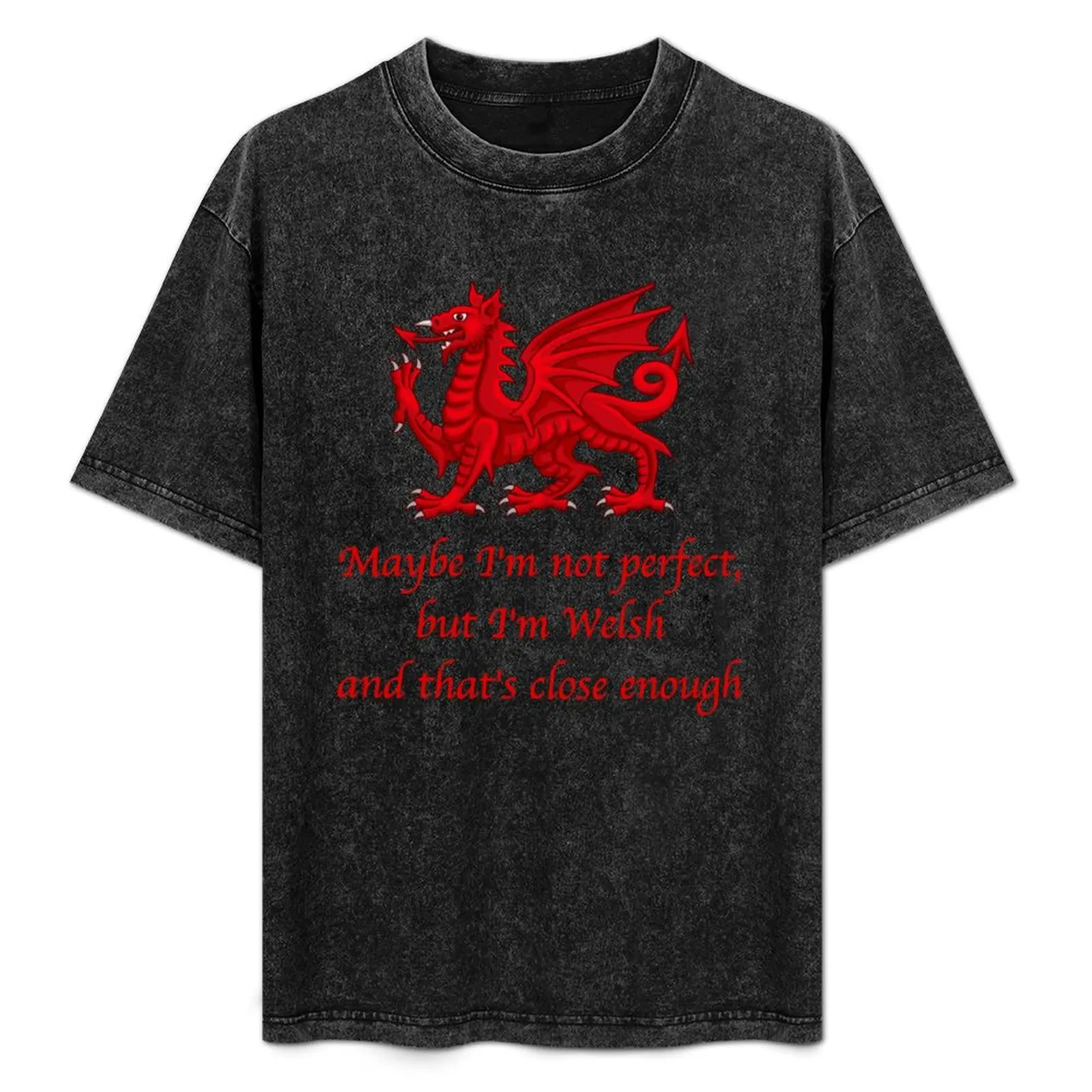 

Maybe I'm not perfect, but I'm Welsh and that's close enough T-Shirt aesthetic clothes vintage anime shirt mens fashion