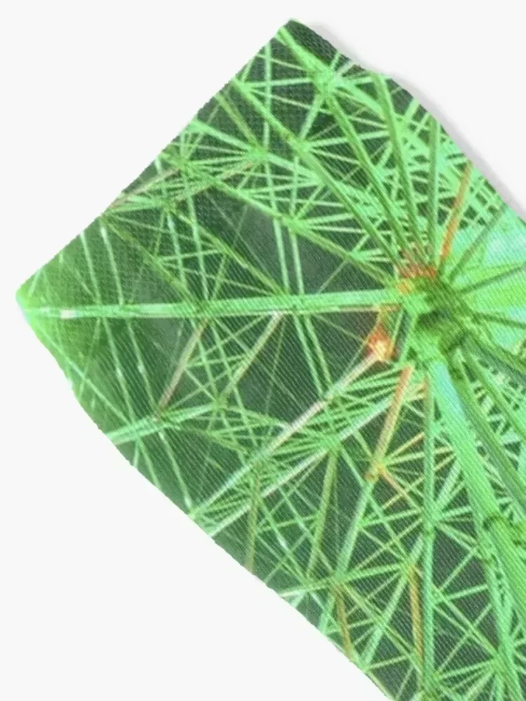 Ferries Wheel Socks designer brand Non-slip winter professional running Male Socks Women's