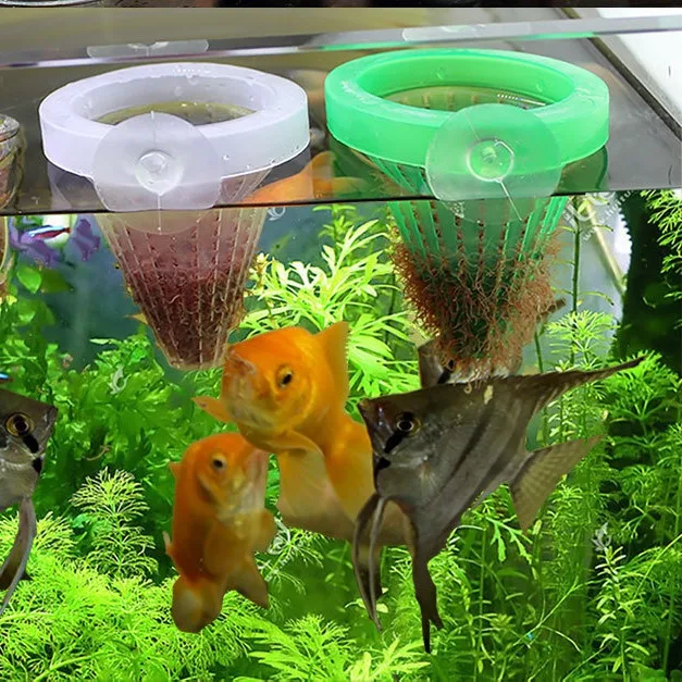 Cono alimentador gusanos rojos para acuario con ventosa - imagen 2