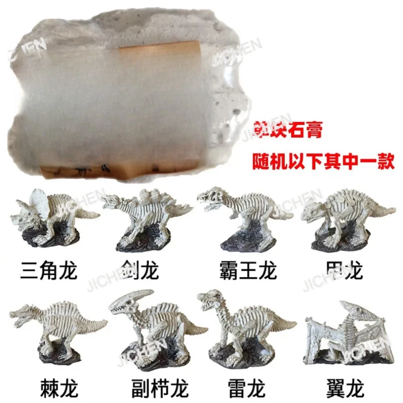 Jc Ancient Fossil D… - image