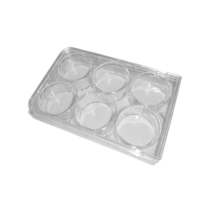 Plastic Microplate Compartimenten Bacteriële Cultuur Plaat Steriele Pakket Polystyreen Petrischaaltjes Cultuur Schotel 6 Wells