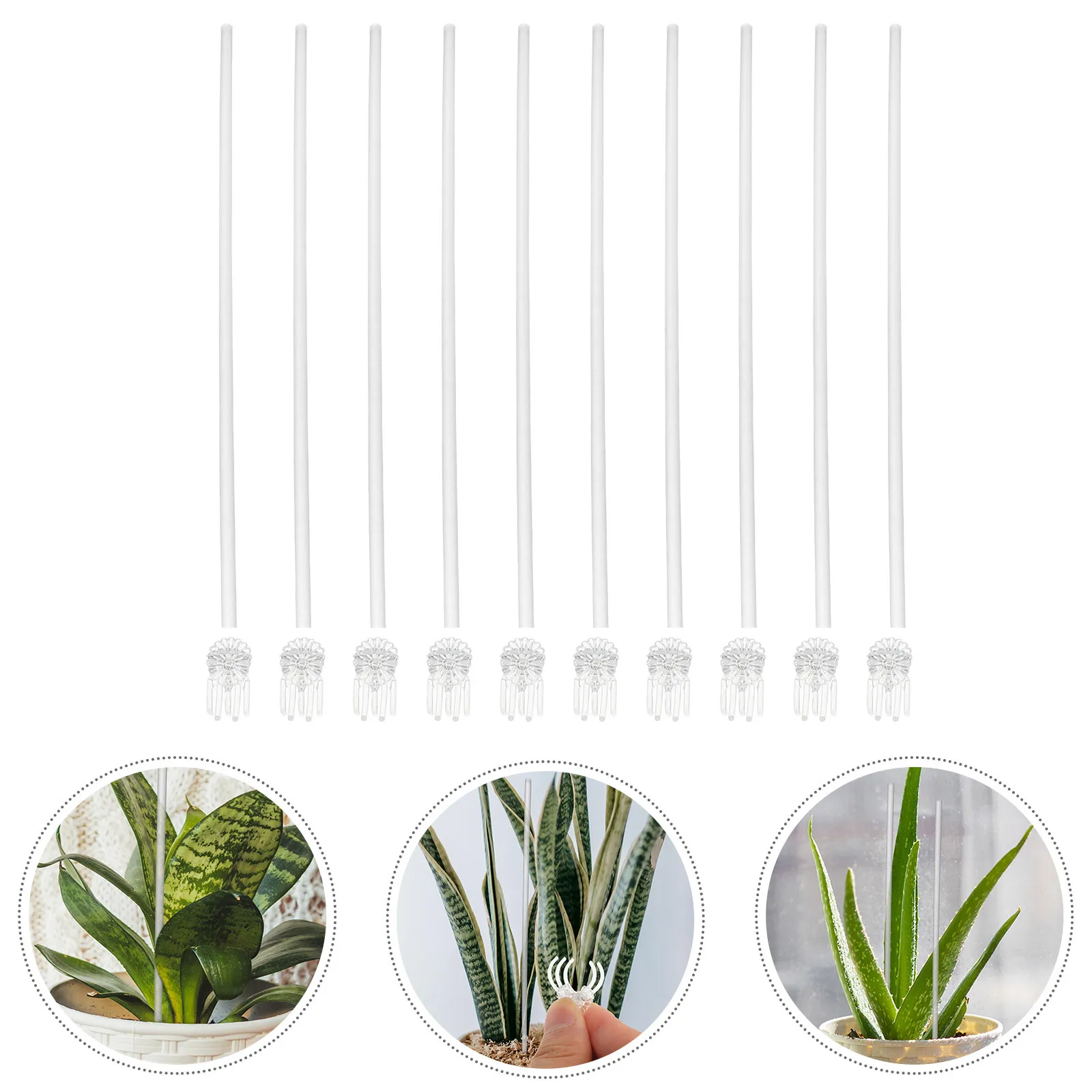 

1 set 1 Set Transparent Acrylic Plant Stake For Vine Roses Orchid Support Stem Garden Accessory Plant Climbing Stakes
