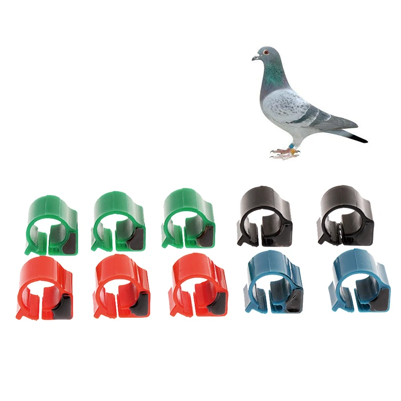 10pcs/lot ABS, PP Electronic RFID Pigeon Bird Ring Tag For Tracking With 125KHz ID 4100 Chip Training Supplies