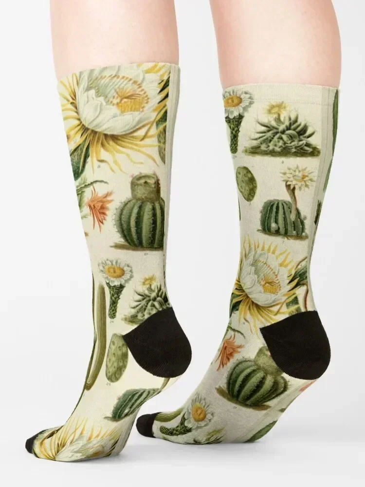 Naturalist Cacti Socks Thermal man winter floor new year warm winter Boy Socks Women's