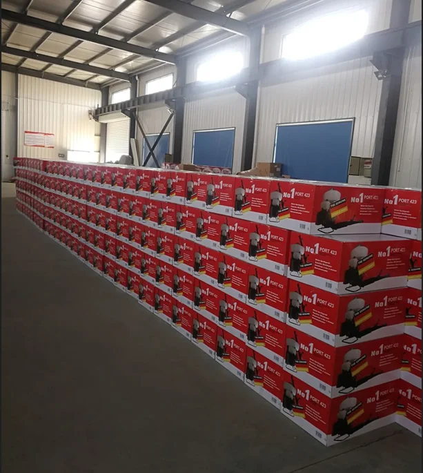 Sprayer Manufacturers Choice SOLO423 2 Stroke 72.3cc Engine 12L Agricultural Large Capacity Knapsack Sprayer