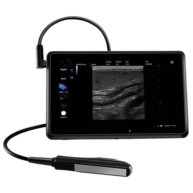 2026 Veterinary Ultrasound Scanner a Sheep Horse Pig Farm Rectal Ultrasound Animal Care and Supplies