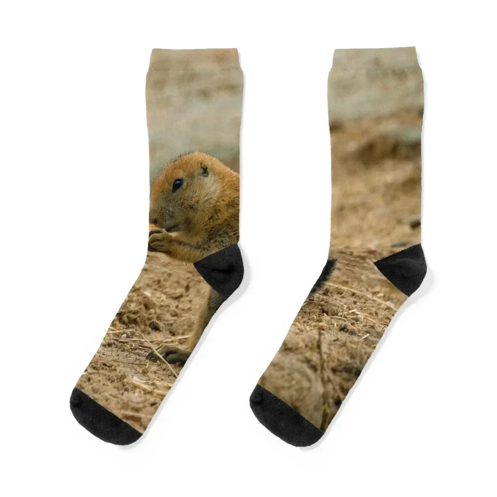 

Prairie dog eating a carrot Socks professional running set Socks Men's Women's