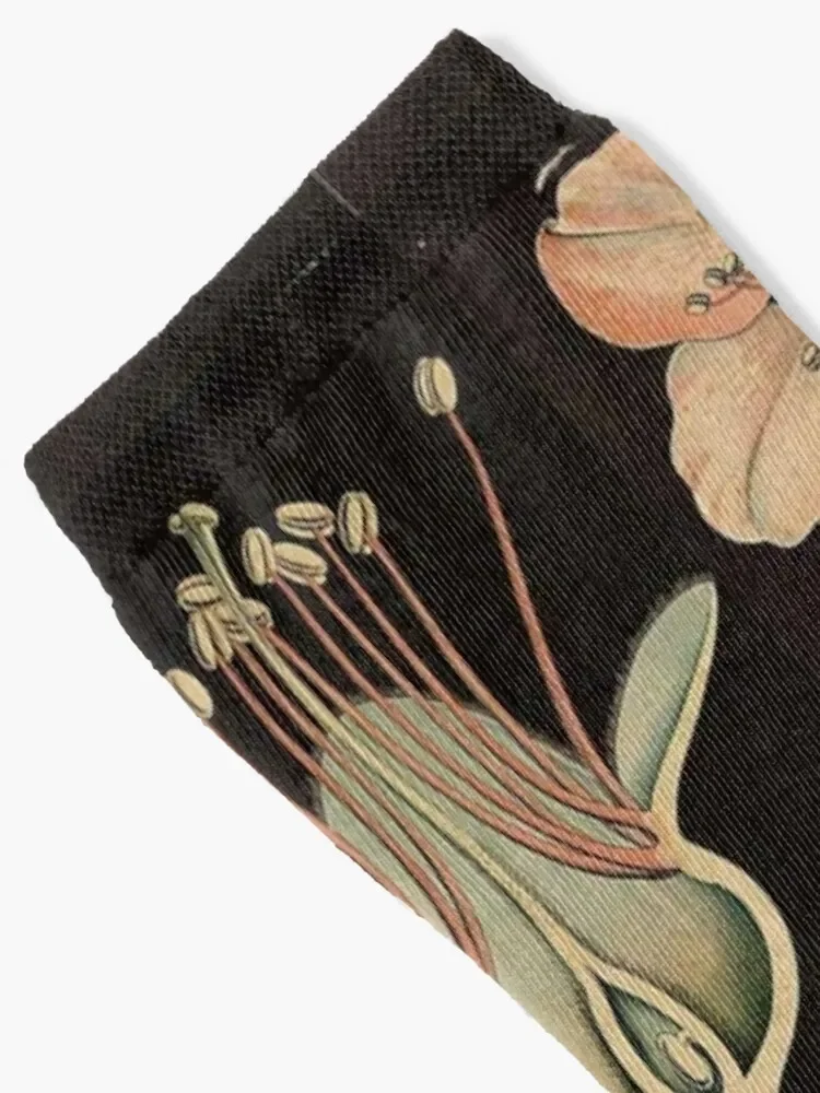 Almond Flower Botanical Socks Run kids Mens Socks Women's