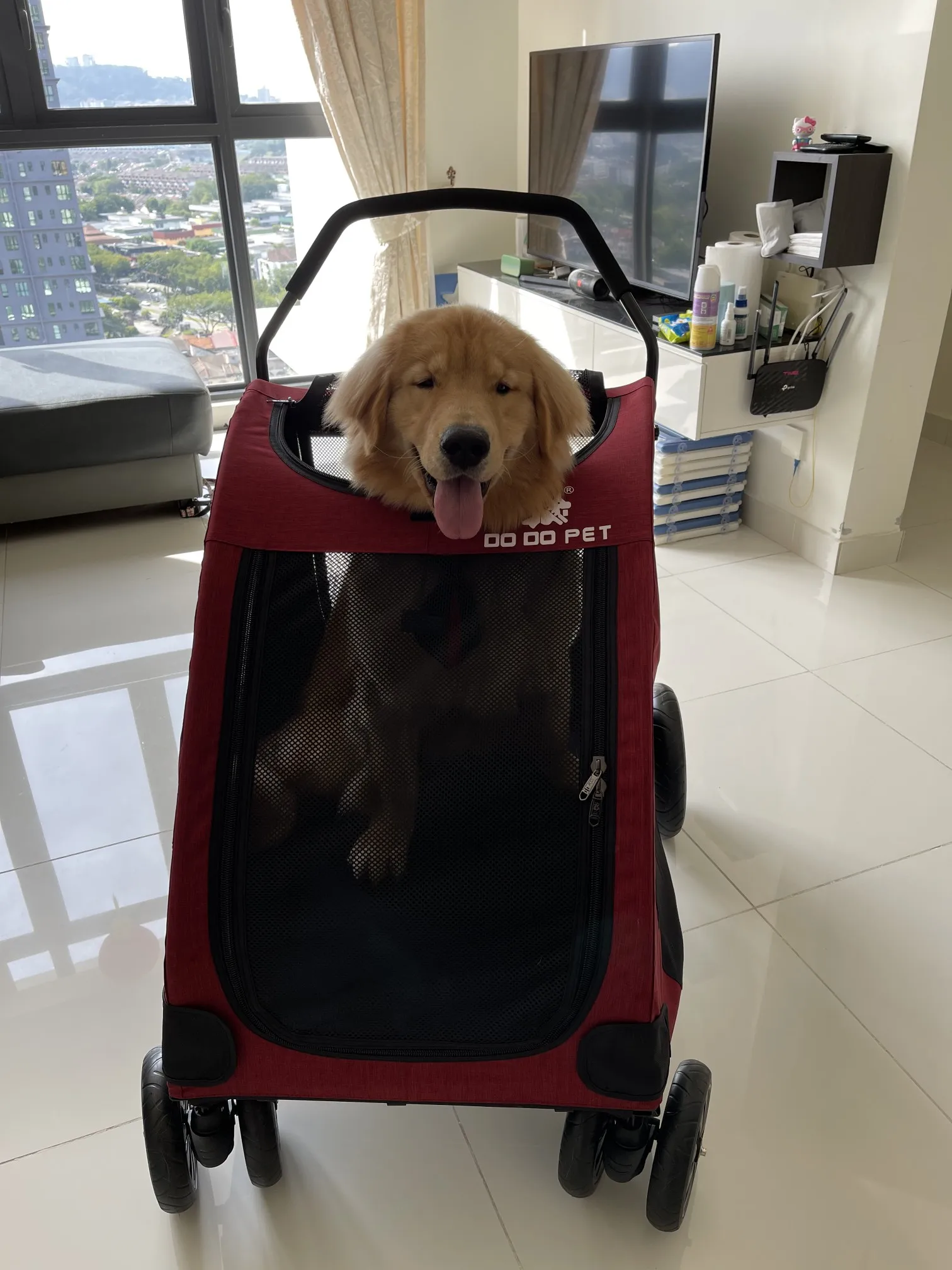 Simple Large Dog Pet Strollers Foldable Dog Stroller Household Large-capacity Dog Walking Troller Modern General Pet Supplies MC