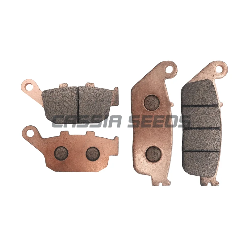 Motorcycle Metal Sintered Brake Pads for Suzuki DL250 V-Strom ABS GSX250 GW250 FL5 Inazuma