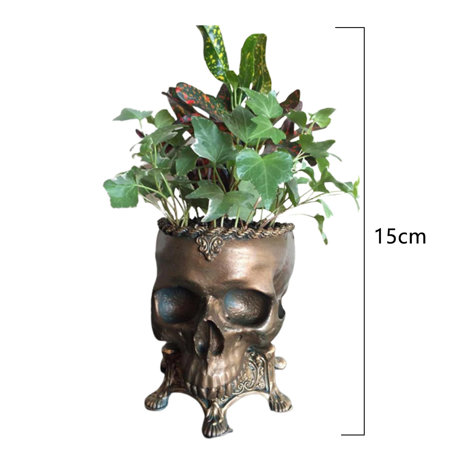 Creative Skull Flower Pot Ornament Multifunction Durable Storage Holder  Flower Vase For Living Room Kitchen