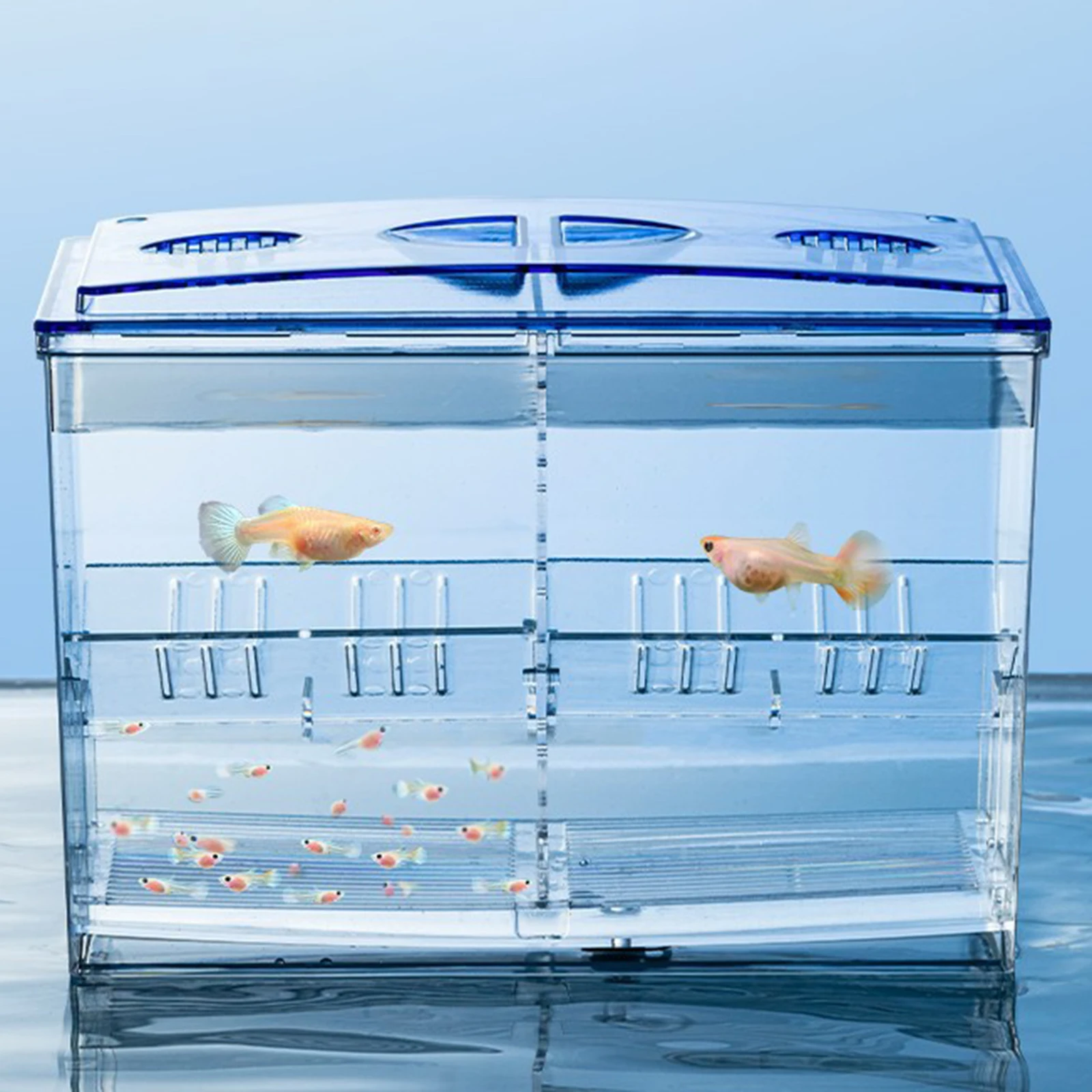 Clear Acrylic Fish Breeding Box Hatching Incubator With Detachable Divided Compartments Fish House Home  Fish Tank