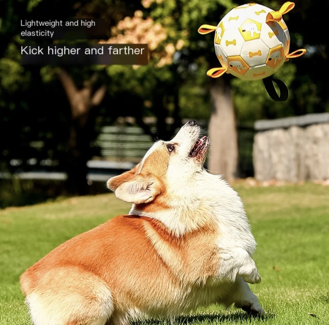 Pet Toy Ball Training For Dogs Outdoor Grinding Teeth Bite Resistance Sound Making Inflatable Soccer Ball Delivery Pump 25.31#