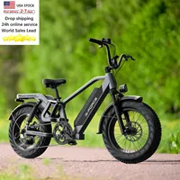 EU Warehouse Ready Stock Electric Bike 750W 20inch Fat Tire E-bike Aluminum Alloy Urban Electric Bicycle 50km/h Adult Fatbike