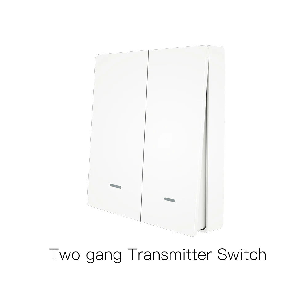 Variant: 2 Gang Vice Switch
