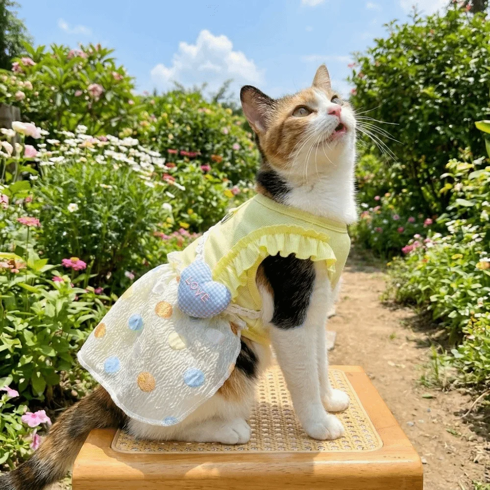Pet Supplies Point Pattern Pet Bubble Skirt Breathable Thin Pet Princess Dress Soft Skin-friendly Dog Cool Dress Summer