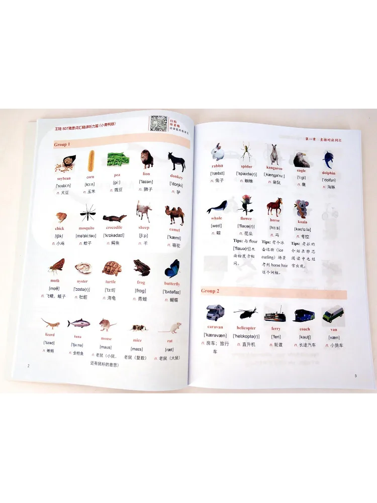 كتاب-Winshare Wang Lu 807 Ielts المفردات إصدار الاستماع المكثف إصدار Little Yellow Duck #4